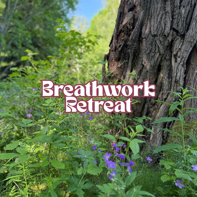 Breathwork Retreat (3)